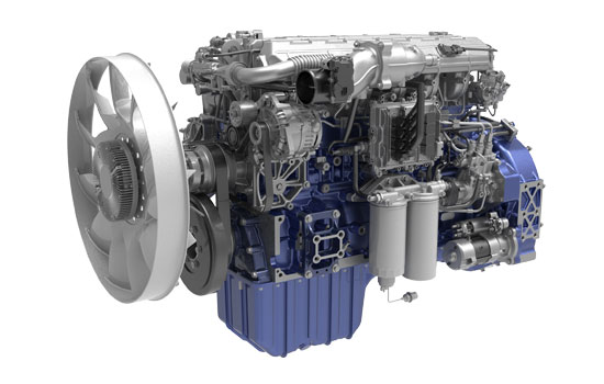 mg不朽情缘(中国)官方网站