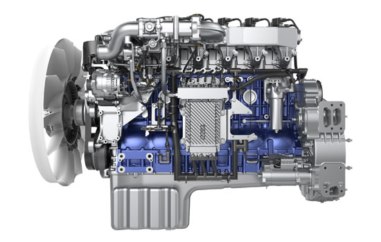 mg不朽情缘(中国)官方网站