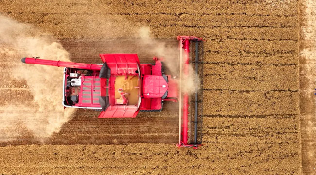 mg不朽情缘(中国)官方网站