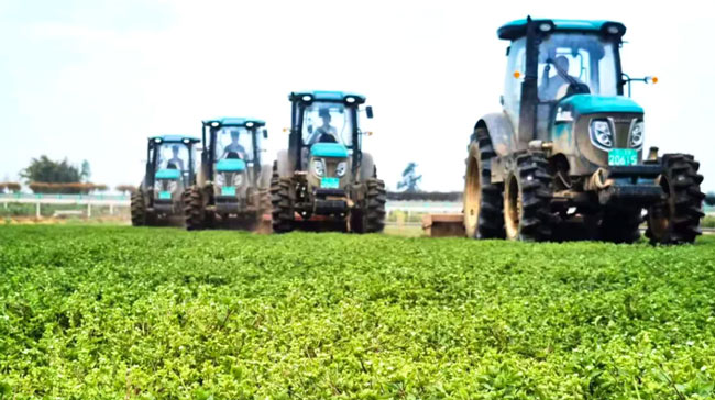 mg不朽情缘(中国)官方网站